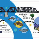 A vibrant illustrated map of Calgary landmarks connected by a dotted route. The image includes the retro Telstar Drugs sign, the Central Library, the public art piece "Jumping Trout" by Violet Costello & Bob Thomasson, a historic train bridge, the Calgary Tower and the Military Museums of Calgary with a fighter jet. Decorative trees, fish, and colourful dots fill the background alongside the caption “What’s on Your Route?” with a red transit bus completing the path.