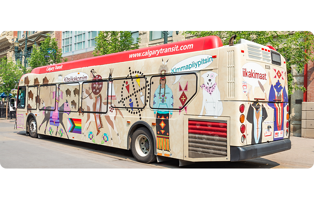 A Calgary Transit bus wrapped in a beige background, overlaid with colourful illustrations of Blackfoot dancers, horses, buffalo and symbolic patterns. The designs include Blackfoot words like iikakimaat and kimmaapiiyiptsin, along a pride flag. The bus is parked downtown, surrounded by brick buildings and trees.