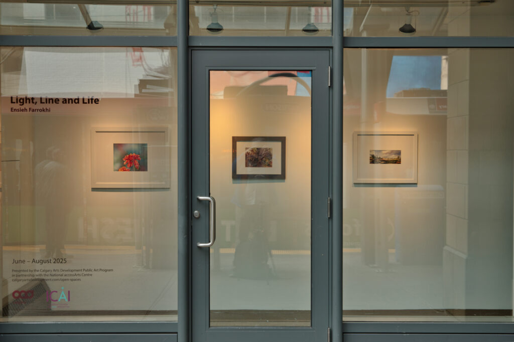 Artworks presented behind a window on the Centre Street LRT platform and vinyl over the top of the glass on the left hand side. The artworks are by artist Ensieh Farrokhi.
