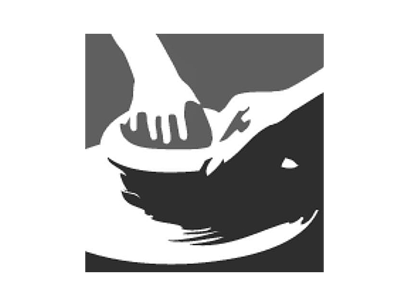 Mount Pleasant Potters Guild logo