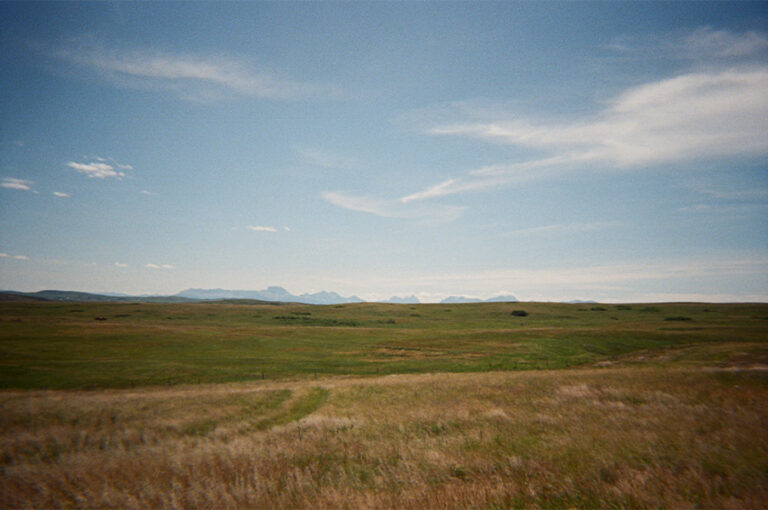 A wide open field stretches into the distance under a blue sky with soft white clouds.