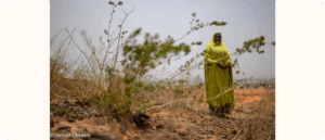 A woman in a bright green dress stands on a dry hill. Some plants are blurry in front of her. The sky is cloudy and a town is far in the background.