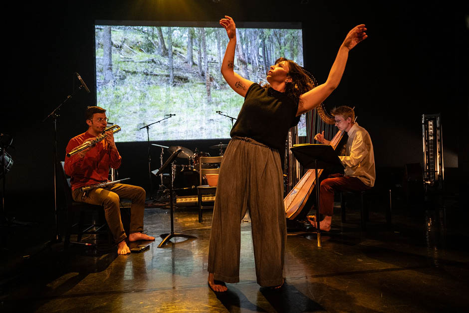 performers, both a dancer and musicians playing wind and string instruments on a stage with a big screen behind them. Located at Banff Centre.