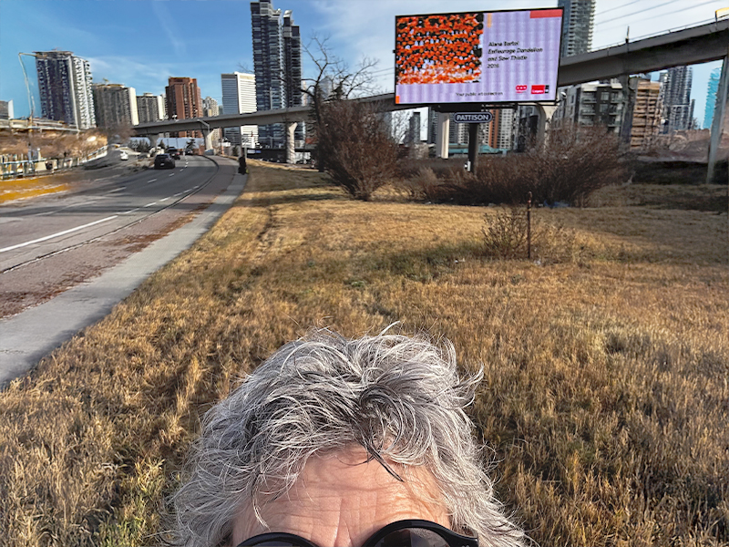 Sharon Stevens stands in the forefront of a grassy area next to a road with office buildings and a billboard sign behind her. Her head is only visible from her forehead up.