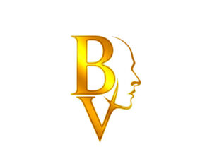 Logo for BoyVault with the letters B&V stacked and an outlined profile of a face beside the letters