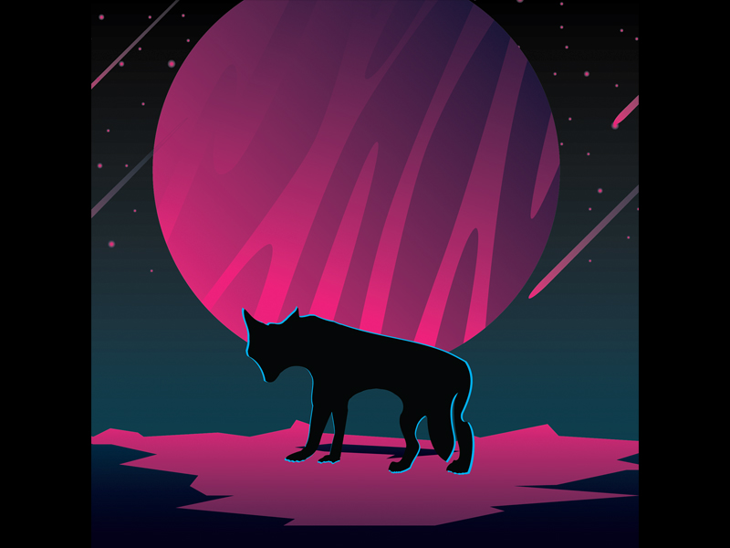 Napi Collective logo image